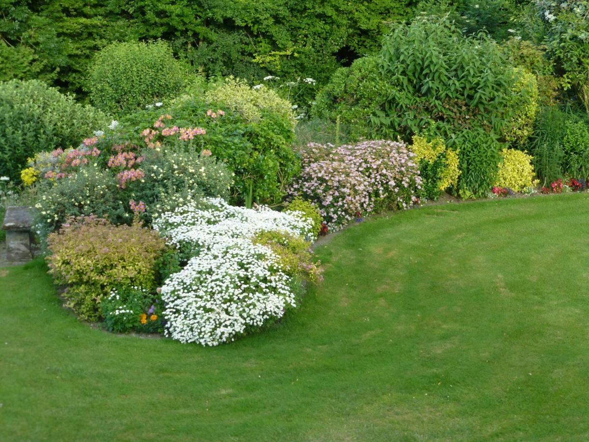 Buckland Newton Whiteways Farmhouse מראה חיצוני תמונה