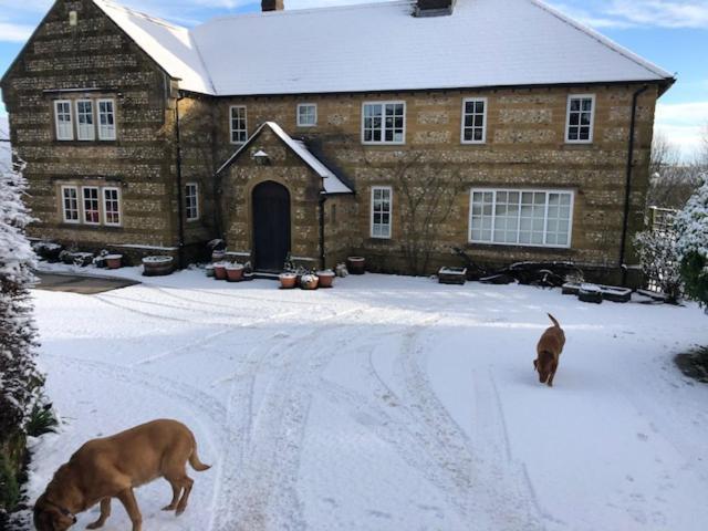 Buckland Newton Whiteways Farmhouse מראה חיצוני תמונה